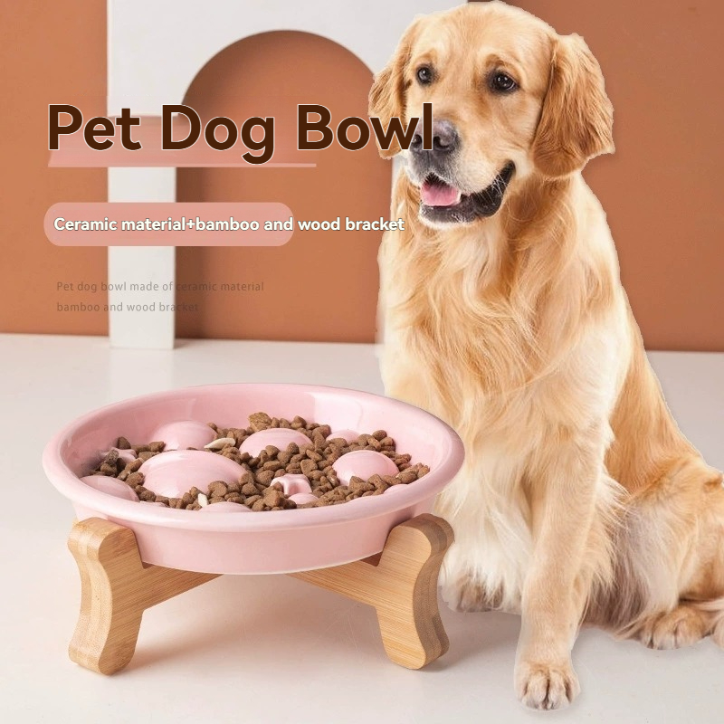 Royal Canin Food Medium - Ceramic Planet Slow Feeder Dog Bowl