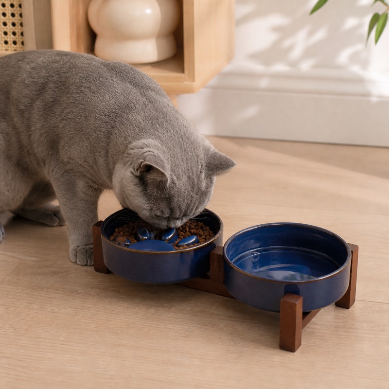 2027 Japanese-style Kiln Ceram - đánh giá và giá Royal Canin Food Medium