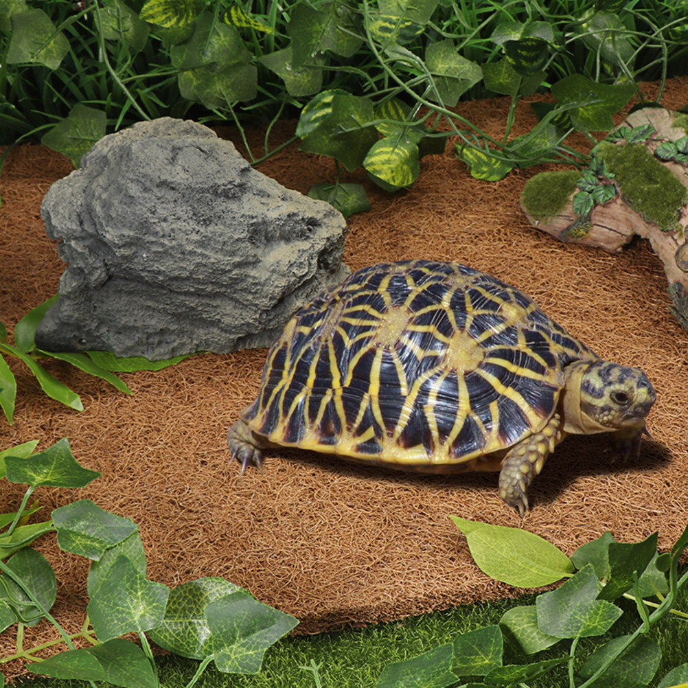 Reptile Substrate Carpet Made  - đánh giá và giá Substrate Coconut Fiber