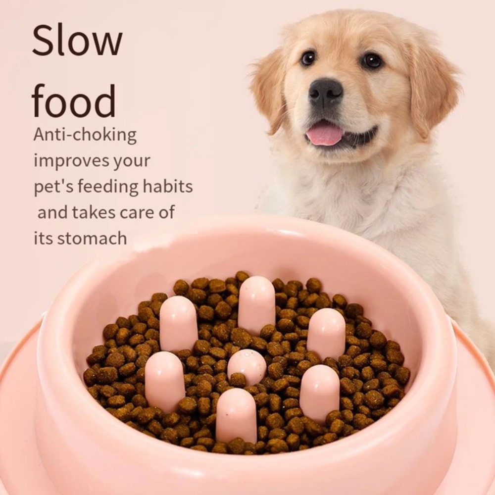 Pet Dog Slow Feeder Bowl Fun N - đánh giá và giá Royal Canin Food Medium