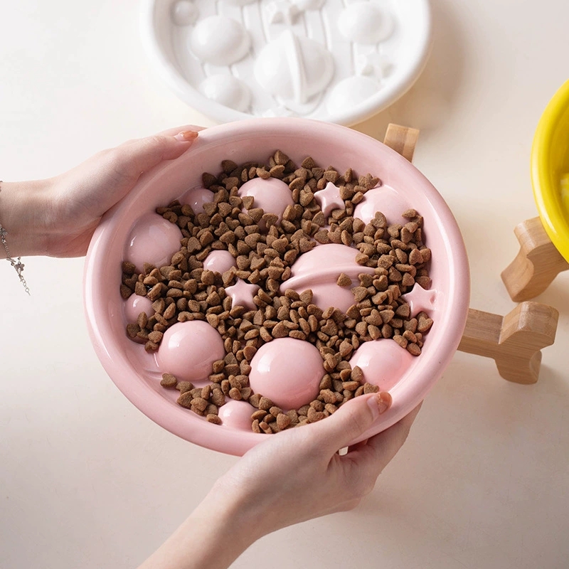 Ceramic Planet Slow Feeder Dog - đánh giá và giá Royal Canin Food Medium